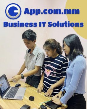 BUSINESS IT SOLUTIONS